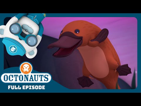 @Octonauts - 🌊 The Duck-Billed Platypus 🦆 | Season 3 | Full Episode | Cartoons for Kids
