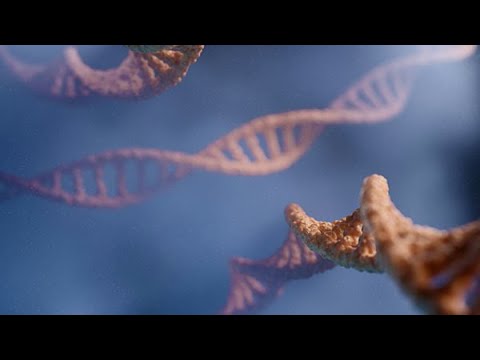 Precisionsmedicin - från innovation till framtidens sjukvård