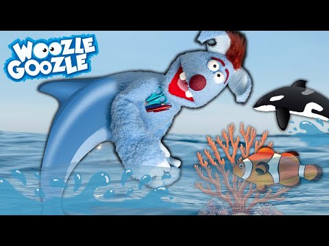 Was lebt alles im Meer? l WOOZLE GOOZLE