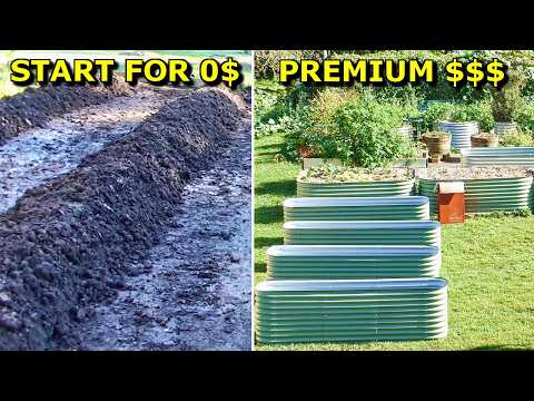 Start a Veggie Garden CHEAP — 5 Easy Methods Ranked