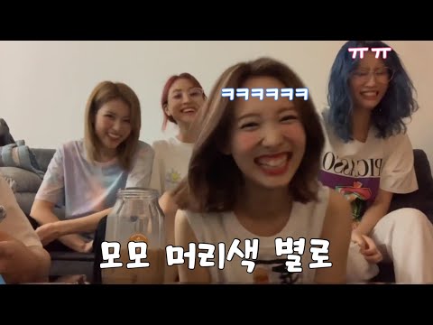 [TWICE] 그거 그런 거잖아. 예의. | 트와이스 라이브 요약본