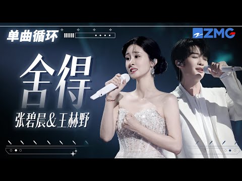 1h 单曲循环🎵张碧晨王赫野《舍得》唱出心碎的痛感「 用尽伤人的话去说 都没想能不能收得回啊」#天赐的声音6 20250507