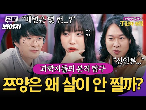 " 하루종일 먹어도 배가 고파요 " 과학자들이 탐구한 쯔양의 살이 안 찌는 고민🧐|T끌모아 해결|JTBC 251224 방송