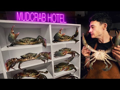 I Farmed Crabs In My Garage. Was It Worth It?