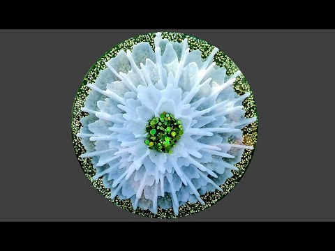 #1040 WOW, I Was Not Expecting That! Incredible 3D Effect In This 3D Resin Flower Bloom Coaster