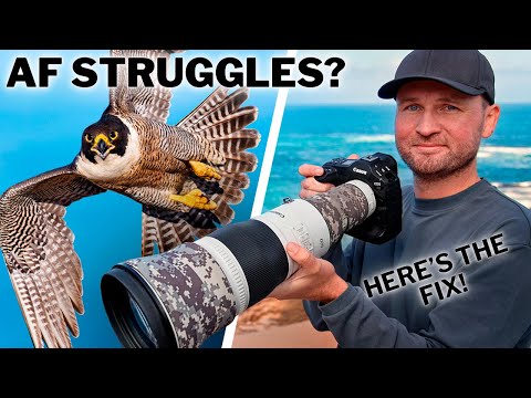 Must-Know AUTOFOCUS Tricks You’re NOT Using (But SHOULD!)