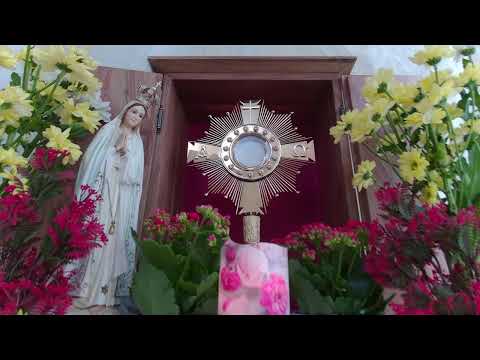 Live-Eucharistic Adoration from 3ltv Vienna, Austria