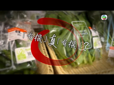 TVB 星期日檔案|「有機」真「有機」?| 無綫新聞 TVB News