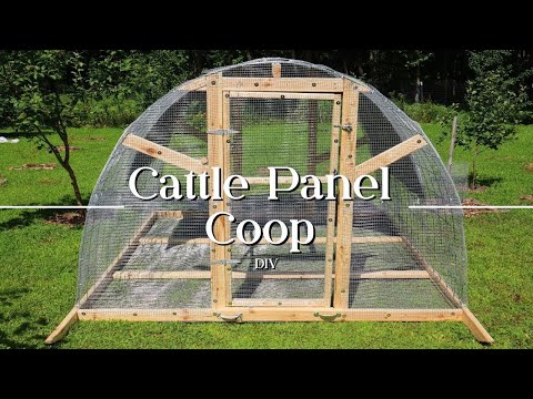 Chicken Coop Built With Cattle Panels │DIY HOOP COOP