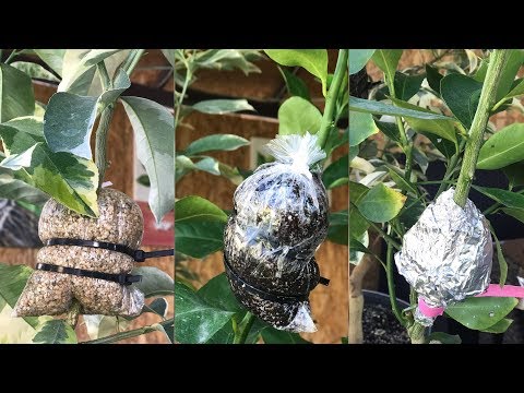 Воздушная отводка, варианты