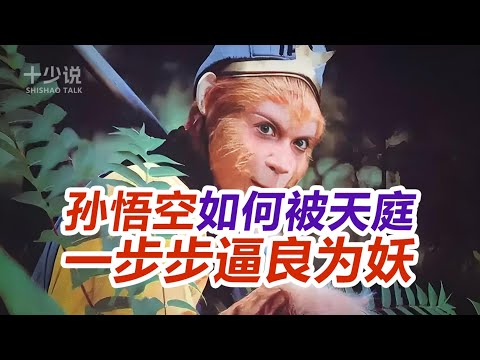 【西游记专题】深度复盘孙悟空如何被天庭一步步逼良为妖！混世魔王是演员？龙王送装备是剧本？#西游记 #孙悟空 #四大名著