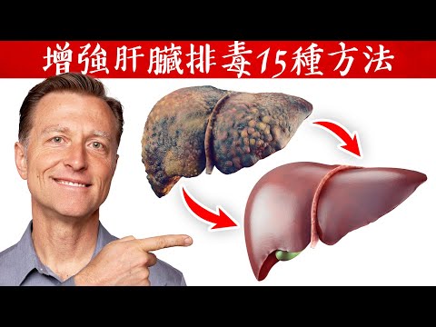 強化肝臟、排毒15種方法,柏格醫生 dr berg