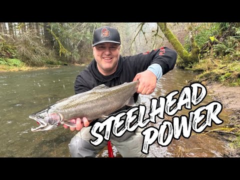 The Ultimate Steelhead Fishing Challenge