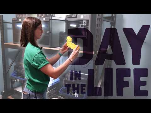 Day in the Life - Nameplate Orders Are Picking Up - April 2025 Vlog