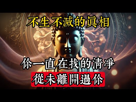 “不生不滅”的真相：你一直在找的清凈，從未離開過你#佛學 #禪宗 #佛教哲學 #佛教經典