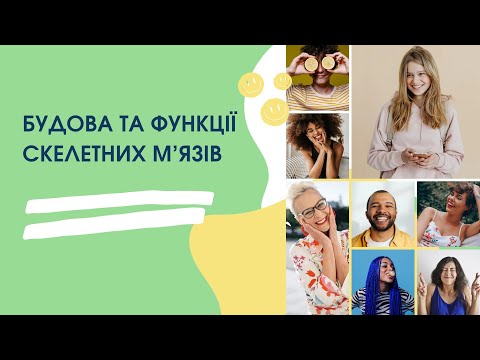 Будова та функції скелетних м’язів