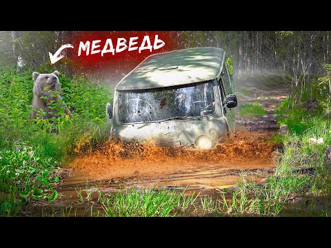 Взбодрил старую Буханку. Стартер развалился в глуши без связи. Встретили медведя на рыбалке.