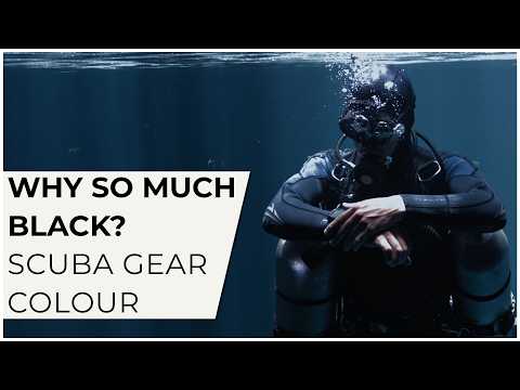 Why So Much Black? The Truth About Scuba Gear Colour & Safety w/ ⁨@pearlfleet⁩