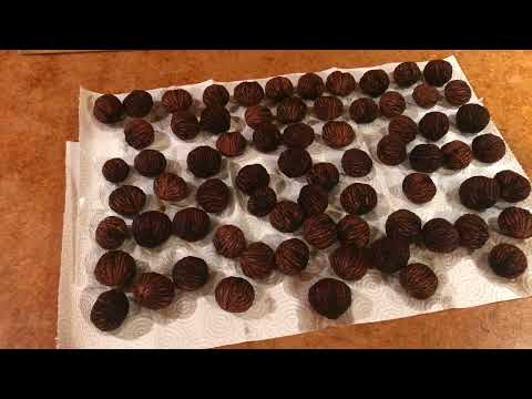 HOW I CRACK BLACK WALNUTS