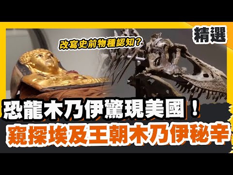 恐龍木乃伊驚現美國！改寫史前物種認知？窺探埃及王朝木乃伊秘辛【#優選話題】#木乃伊#恐龍#埃及