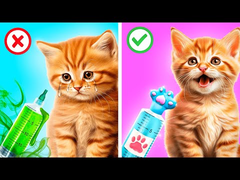 Мы спасли маленьких котят! Спасатели животных в больнице!