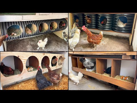 4 Sıradışı Tavuk Folluk Yapımı