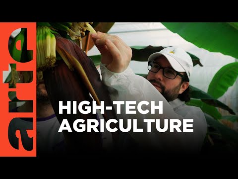 High-tech Food In the Netherlands | ARTE.tv Documentary