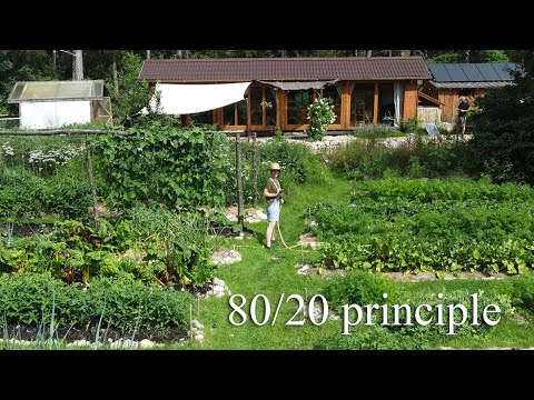 Applying this principle simplified my permaculture garden and tripled my harvest