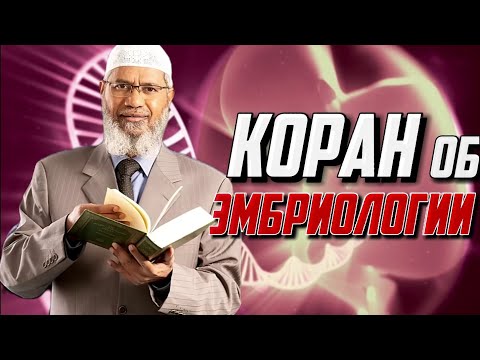 Коран подробно описывает начальные этапы эмбрионального развития || Закир Найк ||