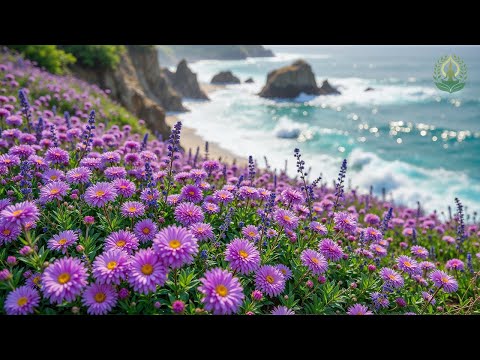 Rose Serenity 🌸 Recovery of the Nervous System 💐Gentle to Calm the Mind & Soothe the Soul #2