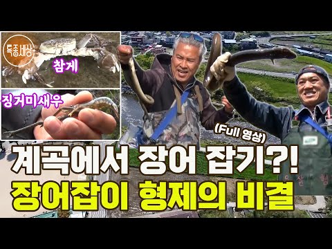 [특종세상] 계곡에서 장어를 잡는다고?! 장어잡이 형제의 특별한 비결은? [Full영상]
