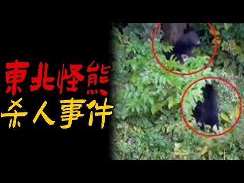 东北怪熊杀人事件|我去医院看病遇到的邪事|老爷去世前三天发生的怪事|鬼故事|恐怖故事|解压故事|灵异#都市傳說#靈異事件#天津#佛牌#泰国#恐怖故事#亲身经历#助眠#北京#睡前故事#西安#古墓#流量