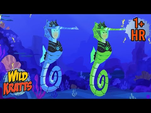 Back to Wild School | Learn All About Sea Animals | Wild Kratts | 9 Story Kids