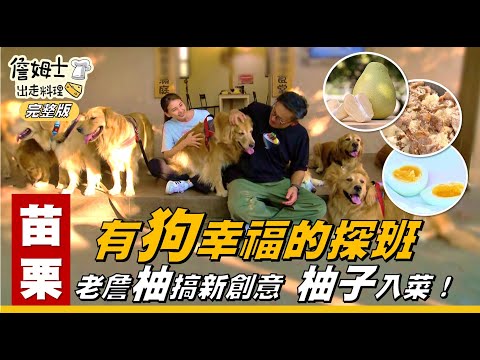 《詹姆士出走料理》苗栗｜有「狗」幸福探班，全台首間11隻黃金獵犬陪吃的寵物餐廳！夜訪大閘蟹想抓要技巧，現抓現蒸鮮度爆棚！老詹「柚」搞創意「柚香炙燒牛肉蓋飯」簡單好吃！-第334集-2025/11/16
