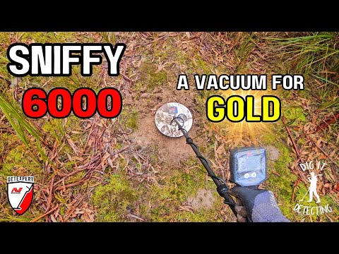 BEST Gold Metal Detector & Coil Setup! MINELAB GPX-6000