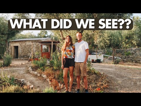 Strange Lights in the Night Sky, Water Challenges & Grape Testing