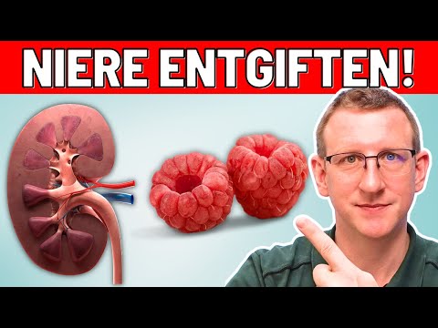 10 Top-Lebensmittel zur Entgiftung Deiner Nieren