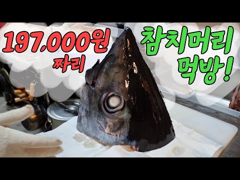 참치머리회 오마카세! 먹방!!!
