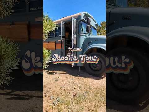 1 minute skoolie tour! #skoolie #skoolieconversion #vanlife