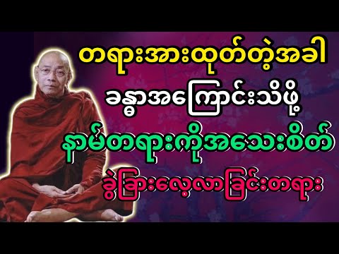 #နာမ်တရားကိုလေ့လာသုံးသပ်ခြင်း #ပါချုပ်ဆရာတော်ဘုရားကြီး @dhammasitala