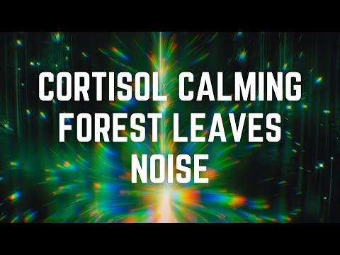 CORTISOL CALMING FOREST LEAVES | 12 Hrs | Black Screen | No Midway Ads | Relax/ Sleep/ Calm Anxiety