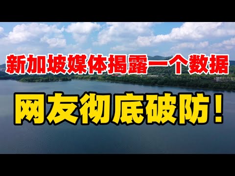 新加坡媒体揭露一个数据，网友彻底破防！许成钢教授戳破真相，一针见血！