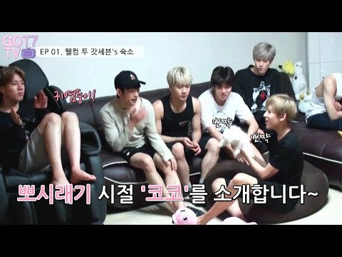 [GOT7 TV] EP 01. Welcome to GOT7's Home (ENG SUB)