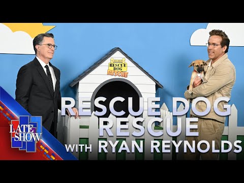Rescue Dog Rescue with Ryan Reynolds
