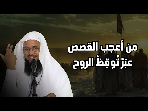 قصص قبل النوم | أعجب وأغرب القصص التي ذكرت في القرآن الكريم! قصص مؤثرة جدًا | الشيخ محمد الشنقيطي