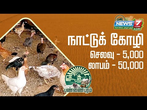 நாட்டுக்கோழி வளர்ப்பில் மாதம் 5000 செலவு செய்து 50000 லாபம் ஈட்டும் விவசாயி