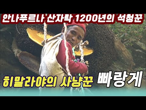 히말라야의사냥꾼 빠랑게 / 안나푸르나 구릉족의 1,200년의 석청사냥  [세상실험] KBS  2011.01.07 방송