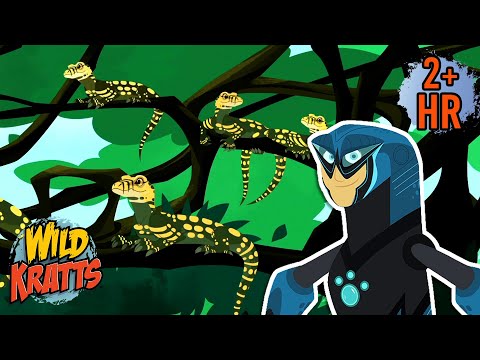 Hanging Out with Baby Komodo Dragons | Activate Creature Powers | Wild Kratts