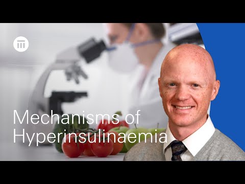 Hyperinsulinemia causes by Benjamin Bikman