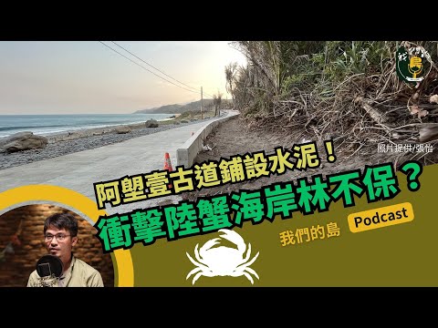 阿塱壹古道舖水泥？陸蟹海岸林重大衝擊？｜feat.陸蟹博士 李政璋｜公視我們的島 Podcast @EP.22